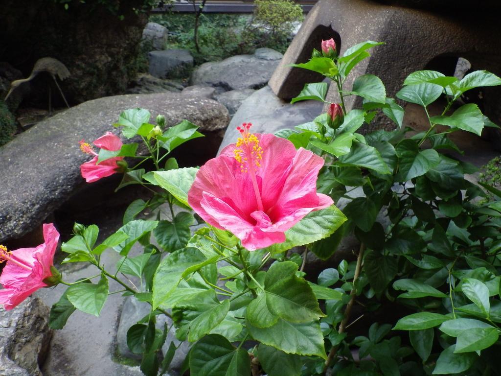 Uokagi Ryokan Nagoya Buitenkant foto